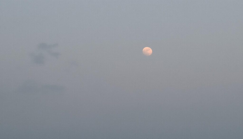 découvrez les tendances incontournables des organisateurs de sac cabas cette saison pour allier style et praticité au quotidien.